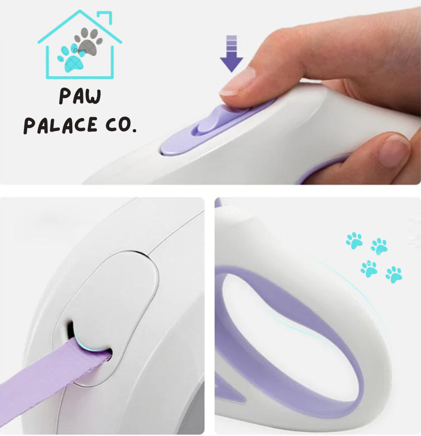 Led Lights Dog Leash