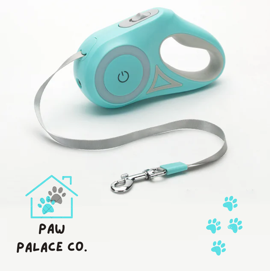 Led Lights Dog Leash