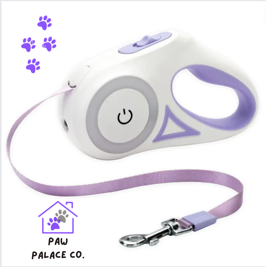 Led Lights Dog Leash