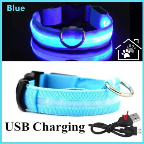 Glowing Dog Collar
