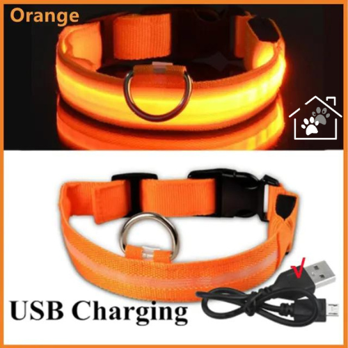 Glowing Dog Collar