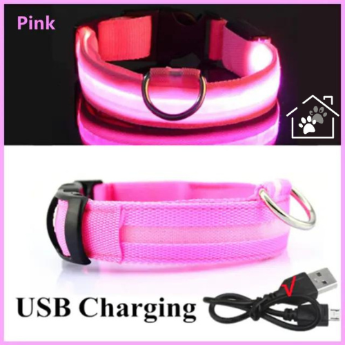 Glowing Dog Collar