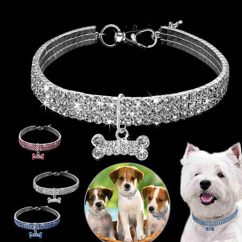 Bling Bling Bone Collar