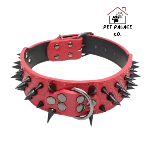 Spiked Studded Leather Collars