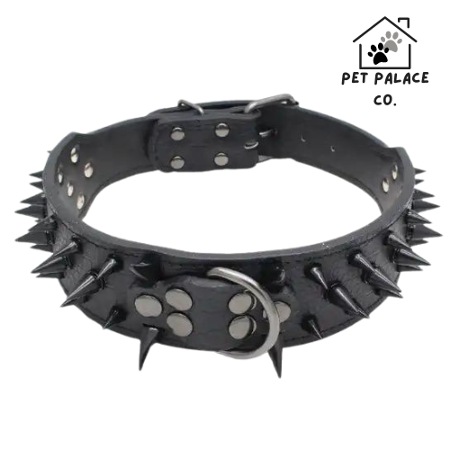 Spiked Studded Leather Collars