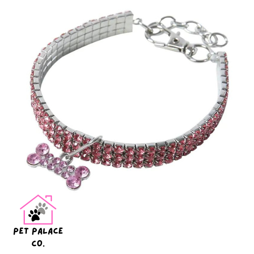 Bling Bling Bone Collar