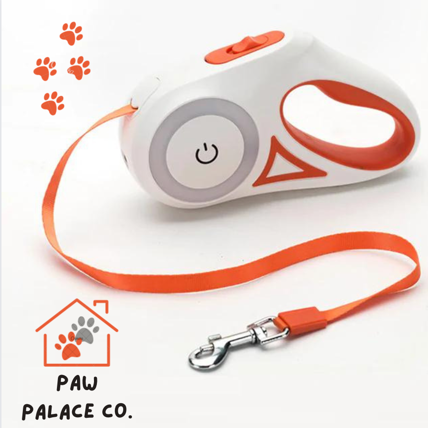 Led Lights Dog Leash