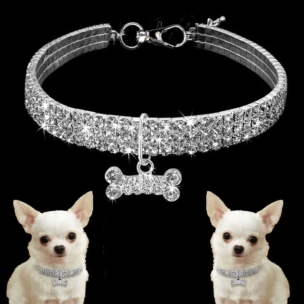 Bling Bling Bone Collar